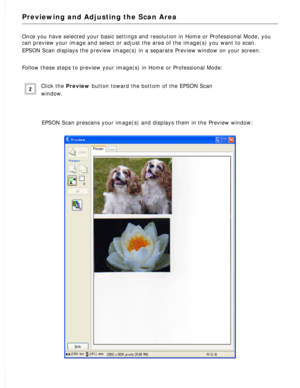 Page 96
Previewing and Adjusting the Scan Area
Once you have selected your basic settings and resolution in Home or Pro\
fessional Mode, you 
can preview your image and select or adjust the area of the image(s) y\
ou want to scan. 
EPSON Scan displays the preview image(s) in a separate Preview window \
on your screen.
 
Follow these steps to preview your image(s) in Home or Professional Mo\
de: 
Click the Preview button toward the bottom of the EPSON Scan 
window.
 
EPSON Scan prescans your image(s) and...
