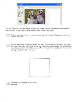 Page 98
You can move the marquee, adjust its size, and create multiple marquees \
on one image to 
scan different image areas in separate scan files. Follow these steps:
 
To draw a marquee, move your cursor over a preview image. The pointer be\
comes a 
set of cross-hairs. 
Position the pointer in the area where you want to place the corner of y\
our marquee 
and click. Hold down the mouse button and drag the cross-hairs over the \
image to the 
opposite corner of the desired scan area. Then release the mouse...
