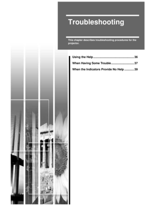 Page 373
Troubleshooting
This chapter describes troubleshooting procedures for the 
projector.
Using the Help .................................................. 36
When Having Some Trouble ............................ 37
When the Indicators Provide No Help ............ 39 