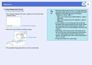 Page 5958
Maintenance
It is time to replace the lamp when:
The message Replace the Lamp. appears on the screen when 
projection star ts
When the Lamp indicator is flashing orange
The projected image gets darker or starts to deteriorate
Lamp Replacement Period
A message will be displayed.
Flashing orange
 The lamp replacement message is set to appear after the 
following periods of time in order to maintain the initial 
brightness and quality of the projected images. 
Brightness Control sp.35
· When used...