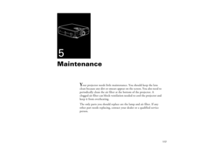 Page 125117
5Maintenance
Y
our projector needs little maintenance. You should keep the lens 
clean because any dirt or smears appear on the screen. You also need to 
periodically clean the air filter at the bottom of the projector. A 
clogged air filter can block ventilation needed to cool the projector and 
keep it from overheating. 
The only parts you should replace are the lamp and air filter. If any 
other part needs replacing, contact your dealer or a qualified service 
person.
5300.book  Page 117  Tuesday,...