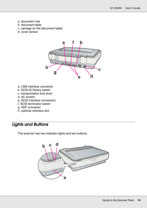 Page 14Guide to the Scanner Parts14
GT-20000 User’s Guide
a. document mat
b. document table
c. carriage (in the document table)
d. cover sensor
a. USB interface connector
b. SCSI ID Rotary switch
c. transportation lock lever
d. AC socket
e. SCSI Interface connectors
f. SCSI terminator switch
g. ADF connector
h. optional interface slot
Lights and Buttons
The scanner has two indicator lights and two buttons. 