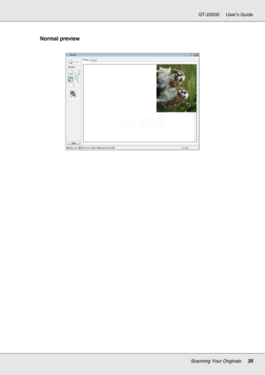 Page 35Scanning Your Originals35
GT-20000 User’s Guide
Normal preview 