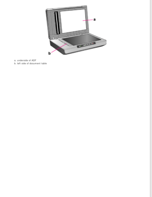 Page 124
a. underside of ADF 
b. left side of document table 