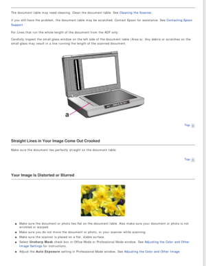 Page 135
The document table may need cleaning. Clean the document table. See Cleaning the Scanner. 
If you still have the problem, the document table may be scratched. Cont\
act Epson for assistance. See Contacting Epson 
Support.
For Lines that run the whole length of the document from the ADF only:
Carefully inspect the small glass window on the left side of the documen\
t table (Area a). Any debris or scratches on the 
small glass may result in a line running the length of the scanned docum\
ent.
Top...
