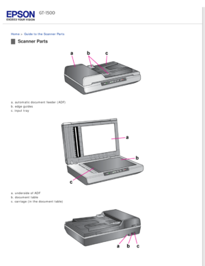 Page 19
 
Home > Guide to the Scanner Parts 
Scanner Parts
a. automatic document feeder (ADF) 
b. edge guides 
c. input tray
a. underside of ADF 
b. document table 
c. carriage (in the document table) 