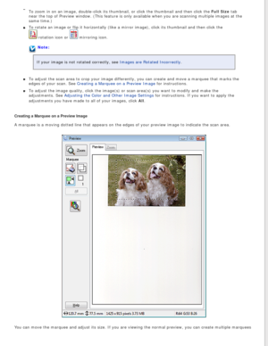 Page 50
To zoom in on an image, double-click its thumbnail, or click the thumbna\
il and then click the Full Size tab 
near the top of Preview window. (This feature is only available when yo\
u are scanning multiple images at the 
same time.)
To rotate an image or flip it horizontally (like a mirror image), clic\
k its thumbnail and then click the 
 rotation icon or  mirroring icon.
Note:
If your image is not rotated correctly, see Images are Rotated Incorrectly.
To adjust the scan area to crop your image...
