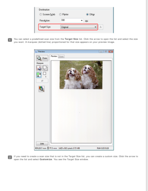 Page 57
You can select a predefined scan size from the Target Size list. Click the arrow to open the list and select the size 
you want. A marquee (dotted line) proportioned for that size appears o\
n your preview image.
If you need to create a scan size that is not in the Target Size list, y\
ou can create a custom size. Click the arrow to 
open the list and select Customize. You see the Target Size window. 