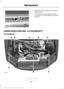 Page 3213. Raise the hood until the lift cylinders
hold it open.
4. To close, lower the hood and make sure that it is closed properly and fully
latched.
UNDER HOOD OVERVIEW - 2.7L ECOBOOST™
2.7L EcoBoost 318
F-150 (TFC) Canada/United States of America, enUSA, First Printing MaintenanceE190266 E176046   