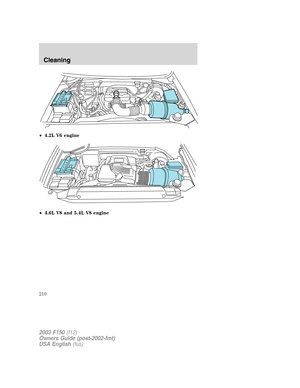 Page 210•4.2L V6 engine
•4.6L V8 and 5.4L V8 engine
2003 F150(f12)
Owners Guide (post-2002-fmt)
USA English(fus)
Cleaning
210 