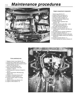 Page 181•4
Engine compartment components
1  Spark plugs (Section 31)
2  Engine oil filler cap (Section 3)
3  Brake fluid reservoir (Section 3)
4  Auxiliary fusebox (Chapter 12)
5  Air cleaner assembly (Section 29)
6  Battery (Section 9)
7  Cooling system expansion tank 
(Section 28)
8  Ventilation system pollen filter - under 
cowl  grille panel (Section 27)
9  Air intake resonator (Chapter 4)
10  Radiator top hose (Section 12)
11  Cooling system expansion tank filler cap 
(Section 3)
12  Air intake plenum...