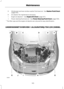 Page 107Windscreen and rear window washer fluid reservoir:  See Washer Fluid Check
(page 109).
G
Air cleaner: No maintenance necessary.
H
Engine oil dipstick *
: 
 See Engine Oil Check (page 107).
I
Power steering fluid reservoir: 
 See Power Steering Fluid Check (page 108).
J
*  The filler caps and the engine oil dipstick are coloured for easy identification.
UNDER BONNET OVERVIEW - 1.6L DURATORQ-TDCI (DV) DIESEL 105
MaintenanceABCDFEGHKIJE90586  