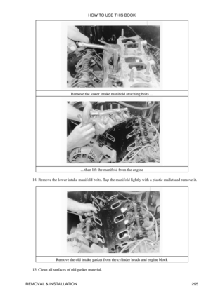 Page 302Remove the lower intake manifold attaching bolts ...
... then lift the manifold from the engine
Remove the lower intake manifold bolts. Tap the manifold lightly with a plastic mallet and remove it.
14. 
Remove the old intake gasket from the cylinder heads and engine block
Clean all surfaces of old gasket material.
15.  HOW TO USE THIS BOOK
REMOVAL & INSTALLATION 295 