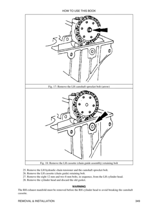 Page 356Fig. 17: Remove the LH camshaft sprocket bolt (arrow)
Fig. 18: Remove the LH cassette (chain guide assembly) retaining bolt
Remove the LH hydraulic chain tensioner and the camshaft sprocket bolt.
25. 
Remove the LH cassette (chain guide) retaining bolt.
26. 
Remove the eight 12 mm and two 8 mm bolts, in sequence, from the LH cylinder head.
27. 
Remove the cylinder head and discard the old gasket.
28. 
WARNING
The RH exhaust manifold must be removed before the RH cylinder head to avoid breaking the...