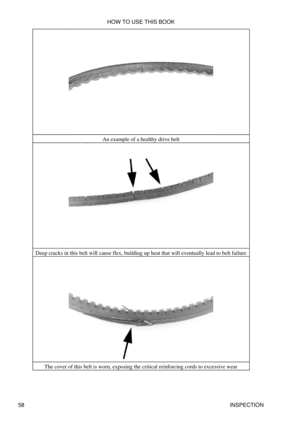 Page 72An example of a healthy drive belt
Deep cracks in this belt will cause flex, building up heat that will eventually lead to belt failure The cover of this belt is worn, exposing the critical reinforcing cords to excessive wear HOW TO USE THIS BOOK
58 INSPECTION 