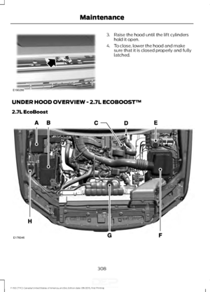 Page 3113. Raise the hood until the lift cylinders
hold it open.
4. To close, lower the hood and make sure that it is closed properly and fully
latched.
UNDER HOOD OVERVIEW - 2.7L ECOBOOST™
2.7L EcoBoost 308
F-150 (TFC) Canada/United States of America, enUSA, Edition date: 08/2015, First Printing MaintenanceE190266 E176046   