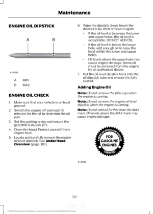 Page 315ENGINE OIL DIPSTICK
MINA
MAX
B
ENGINE OIL CHECK
1. Make sure that your vehicle is on level ground.
2. Switch the engine off and wait 15 minutes for the oil to drain into the oil
pan.
3. Set the parking brake and ensure the gearshift is in park (P).
4. Open the hood. Protect yourself from engine heat.
5. Locate and carefully remove the engine
oil level dipstick. See Under Hood
Overview (page 310). 6. Wipe the dipstick clean. Insert the
dipstick fully, then remove it again.
•If the oil level is between the...