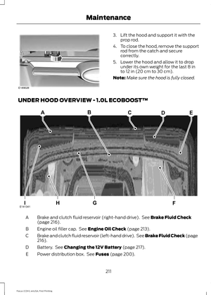 Page 2143. Lift the hood and support it with the
prop rod.
4. To close the hood, remove the support
rod from the catch and secure
correctly.
5. Lower the hood and allow it to drop under its own weight for the last 8 in
to 12 in (20 cm to 30 cm).
Note: Make sure the hood is fully closed.
UNDER HOOD OVERVIEW - 1.0L ECOBOOST™ Brake and clutch fluid reservoir (right-hand drive).  See Brake Fluid Check
(page 216).
A
Engine oil filler cap.  See 
Engine Oil Check (page 213).
B
Brake and clutch fluid reservoir...