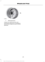 Page 334Wheel pilot bore
A
Inspect the wheel pilot bore and
mounting surface prior to installation.
Remove any visible corrosion or loose
particles.
331
Explorer (TUB) Canada/United States of America, enUSA, Edition date: 03/2016, First Printing Wheels and TiresE145950  