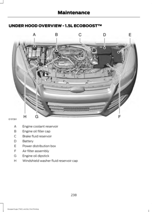 Page 241UNDER HOOD OVERVIEW - 1.5L ECOBOOST™
Engine coolant reservoir
A
Engine oil filler cap
B
Brake fluid reservoir
C
Battery
D
Power distribution box
E
Air filter assembly
F
Engine oil dipstick
G
Windshield washer fluid reservoir cap
H
238
Escape/Kuga (TM2), enUSA, First Printing MaintenanceCABED
E157261FHG  