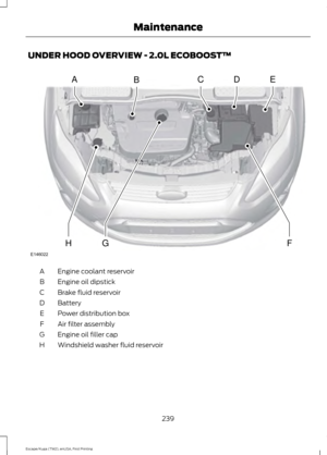 Page 242UNDER HOOD OVERVIEW - 2.0L ECOBOOST™
Engine coolant reservoir
A
Engine oil dipstick
B
Brake fluid reservoir
C
Battery
D
Power distribution box
E
Air filter assembly
F
Engine oil filler cap
G
Windshield washer fluid reservoir
H
239
Escape/Kuga (TM2), enUSA, First Printing MaintenanceABCDE
FGH
E146022  