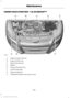 Page 241UNDER HOOD OVERVIEW - 1.5L ECOBOOST™
Engine coolant reservoir
A
Engine oil filler cap
B
Brake fluid reservoir
C
Battery
D
Power distribution box
E
Air filter assembly
F
Engine oil dipstick
G
Windshield washer fluid reservoir cap
H
238
Escape/Kuga (TM2), enUSA, First Printing MaintenanceCABED
E157261FHG  