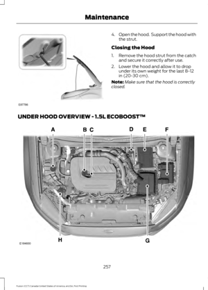 Page 2604.
Open the hood.  Support the hood with
the strut.
Closing the Hood
1. Remove the hood strut from the catch
and secure it correctly after use.
2. Lower the hood and allow it to drop under its own weight for the last 8-12
in (20-30 cm).
Note: Make sure that the hood is correctly
closed.
UNDER HOOD OVERVIEW - 1.5L ECOBOOST™ 257
Fusion (CC7) Canada/United States of America, enUSA, First Printing MaintenanceE87786 E184600  