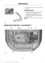 Page 2604.
Open the hood.  Support the hood with
the strut.
Closing the Hood
1. Remove the hood strut from the catch
and secure it correctly after use.
2. Lower the hood and allow it to drop under its own weight for the last 8-12
in (20-30 cm).
Note: Make sure that the hood is correctly
closed.
UNDER HOOD OVERVIEW - 1.5L ECOBOOST™ 257
Fusion (CC7) Canada/United States of America, enUSA, First Printing MaintenanceE87786 E184600  