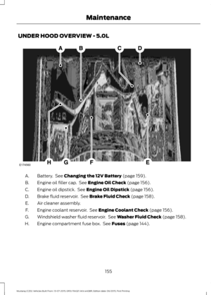 Page 159UNDER HOOD OVERVIEW - 5.0L
Battery.  See Changing the 12V Battery (page 159).
A.
Engine oil filler cap.  See 
Engine Oil Check (page 156).
B.
Engine oil dipstick.  See 
Engine Oil Dipstick (page 156).
C.
Brake fluid reservoir.  See 
Brake Fluid Check (page 158).
D.
Air cleaner assembly.
E.
Engine coolant reservoir.  See 
Engine Coolant Check (page 156).
F.
Windshield washer fluid reservoir.  See 
Washer Fluid Check (page 158).
G.
Engine compartment fuse box.  See 
Fuses (page 144).
H.
155
Mustang (CZG)...