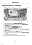 Page 158UNDER HOOD OVERVIEW - 1.6L ECOBOOST™
Engine coolant reservoir*:  See Engine Coolant Check (page 161).A
Brake and clutch fluid reservoir (right-hand drive)*:  See Brake and ClutchFluid Check (page 162).B
Engine oil filler cap*:  See Engine Oil Check (page 160).C
Engine oil dipstick*:  See Engine Oil Check (page 160).D
Battery:  See Changing the 12V Battery (page 162).E
Brake and clutch fluid reservoir (left-hand drive)*:  See Brake and Clutch FluidCheck (page 162).F
Engine compartment fuse box:  See Fuses...