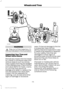 Page 178WARNING
Stay out of the trajectory (1)
as indicated in the illustration.
Inspecting Your Tires and
Wheel Valve Stems
Periodically inspect the tire treads
for uneven or excessive wear and
remove objects such as stones,
nails or glass that may be wedged
in the tread grooves. Check the tire
and valve stems for holes, cracks,
or cuts that may permit air
leakage and repair or replace the
tire and replace the valve stem.
Inspect the tire sidewalls for
cracking, cuts, bruises and other
signs of damage or...