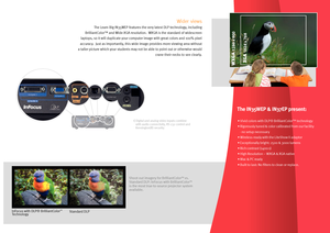 Page 3
The IN35WEP & IN37EP present:
• Vivid colors with DLP® BrilliantColor™ technology
• Rigorously tuned & color calibrated from our facility 
   - no setup necessary
• Wireless-ready with the LiteShow II adaptor
• Exceptionally bright: 2500 & 3000 lumens
• Rich contrast (1400:1)
• High Resolution – WXGA & XGA native
• Mac & PC ready
• Built to last: No filters to clean or replace.
Shoot-out imagery for BrilliantColorTM vs. Standard DLP: InFocus with BrilliantColorTM is the most true-to-source projector...