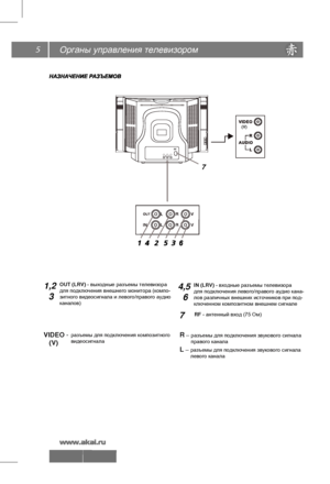 Page 65Органы управления телевизором
1,2
  3
RF - антенный вход (75 Ом)7
7
OUT (LRV) - выходные разъемы телевизора
для подключения внешнего монитора (компо-
зитного видеосигнала и левого/правого аудио
каналов)  4,5
  6IN (LRV) - входные разъемы телевизора
для подключения левого/правого аудио кана-
лов различных внешних источников при под-
ключенном композитном внешнем сигнале 
VIDEO -
   (V) 
   разъемы для подключения композитного 
видеосигнала
L  – разъемы для подключения звукового сигнала 
левого канала
R...