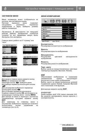 Page 1312Настройка телевизора с помощью меню
СИСТЕМНОЕ МЕНЮ
Меню  телевизора  может  отображаться  на 
русском, или английском языках.
Система  экранного  меню  позволяет 
настраивать  различные  параметры 
изображения  и  звука,  выбирать  режимы 
работы телевизора. 
Примечание.  В  зависимости  от  текущего 
режима  работы  (выбранного  источника 
сигнала)  не  все  параметры  могут  быть 
доступны для настройки.
Главное меню разбито на 5 “страниц” или 
“окон”.
Для входа в главное меню нажмите кнопку 
MENU на...