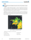 Page 332Garmin G1000 Pilot’s Guide for the Socata TBM 850190-00709-04  Rev. A318
HAZARD AVOIDANCE
NEXRAD
 NOTE:  NEXRAD data cannot be displayed at the same time as terrain, echo tops, turbulence, or icing data 
is displayed.
WSR-88D,	 or	NEXRAD	 (NEXt-generation	 RADar),	is	a	network	 of	158	 high-resolution	 Doppler	radar	
systems	that	are	operated	 by	the	 National	 Weather	Service	(NWS).	 	 NEXRAD	 data	provides	 centralized	
meteorological	 information	for	the	 continental	 United	States	and	selected...