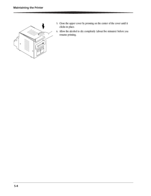 Page 40 5-4 Maintaining the Printer
5.Close the upper cover by pressing on the center of the cover until it 
clicks in place.
6.Allow the alcohol to dry completely (about five minutes) before you 
resume printing.
Downloaded From ManualsPrinter.com Manuals 