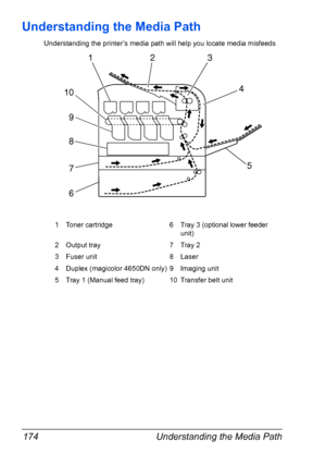 Page 188Understanding the Media Path 174
Understanding the Media Path
Understanding the printer’s media path will help you locate media misfeeds
1 Toner cartridge 6 Tray 3 (optional lower feeder 
unit)
2 Output tray 7 Tray 2
3 Fuser unit 8 Laser
4 Duplex (magicolor 4650DN only) 9 Imaging unit
5 Tray 1 (Manual feed tray) 10 Transfer belt unit
321
9 10
5
4
8
7
6
Downloaded From ManualsPrinter.com Manuals 