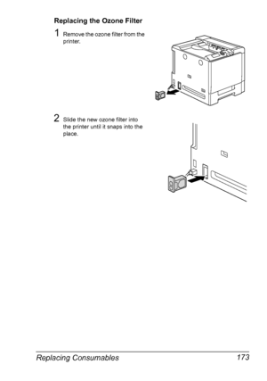 Page 187Replacing Consumables 173
Replacing the Ozone Filter
1Remove the ozone filter from the 
printer.
2Slide the new ozone filter into 
the printer until it snaps into the 
place.
Downloaded From ManualsPrinter.com Manuals 