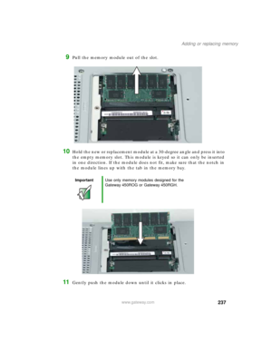 Page 247237
Adding or replacing memory
www.gateway.com
9Pull the memory module out of the slot.
10Hold the new or replacement module at a 30-degree angle and press it into 
the empty memory slot. This module is keyed so it can only be inserted 
in one direction. If the module does not fit, make sure that the notch in 
the module lines up with the tab in the memory bay.
11Gently push the module down until it clicks in place.
ImportantUse only memory modules designed for the 
Gateway 450ROG or Gateway 450RGH. 