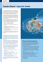 Page 4A4
Tipos de bombas injetoras
As bombas injetoras foram aperfeiçoadas cada vez mais 
para as diversas aplicações na área da injeção Diesel. 
Os seguintes sistemas de injeção correspondem aos
atuais níveis tecnológicos.
  Bomba injetora em linha (PE) com regulador mecânico 
ou eletrônico e, quando necessário, avanço de injeção.
  Bomba injetora em linha com bucha deslisante (PE) 
com regulador eletrônico, na qual o início da injeção
pode ser modificado livremente mesmo sem avanço de 
injeção.
  Bomba...