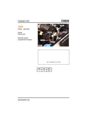 Page 238CONNECTORC0826
DEFENDER V8i
Power - Alternator
Eyelet
TIN-PLATE
Beneath engine
compartment fusebox
P5511
C0573C0571
C0826C0574
C0572
C0570
C1217
Cav Col CCT
1 N ALL 