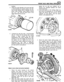 Page 275FRONT AXLE AND FINAL  DRIVE 
position.  tighten  the nut with  just sufficient  nip  to 
2. Smear the outer  diameter of the  new  seal  with  remove any backlash  between  the  crown 
a  recommended  all purpose  grease  and  with 
the  lip side  leading,  start it squarely  into the  3.  Line  up  the  centre 
of the  locking  finger lug 
pinion  nose  .housing. Using special  service  with a slot in the adjusting  nut. Fit  the  locking 
tool L.S.T. 106, drive  the  seal home to the  finger and secure...