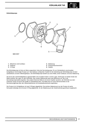 Page 242KÜHLANLAGE Td5
7
BESCHREIBUNG UND FUNKTIONSWEISE Kühlmittelpumpe
1.Mitnehmer (nicht sichtbar)
2.Gehäuse
3.O-Ringe4.Abdeckung
5.Zulaufschlauchanschluß
6.Impeller
Die Kühlmittelpumpe ist links am Motor angeordnet, hinter der Servolenkpumpe. Ein am Zylinderblock verschraubtes
Gußgehäuse nimmt beide Pumpen auf. Das Gehäuse verfügt über Kanäle für die Verbindung der Kühlmittelpumpe mit dem
Zylinderblock und dem Ölkühlergehäuse. Die Kühlmittelpumpe besteht aus einer Welle, einem Gehäuse und einer Abdeckung....