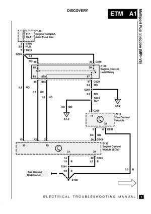 Page 17ELECTRICAL TROUBLESHOOTING MANUAL
ETM A1
Multiport Fuel Injection (MFI±V8)
1
DISCOVERY
30
F 7
20 A
86
85 87a 8730
30 15
31 3131 15 P125
Engine Compart-
ment Fuse Box
K116
Engine Control
Load Relay
Z118
Fan Control
Module
Z132
Engine Control
Module (ECM)
 See Ground
Distribution 3 C100
1 C216
30 C239 86
85 87a87 C239
2 C238
6 C238 5
40 C243 1436 C243 2 12 15 S224
S297
S291
HJ7
S294 3.0 NLG
0.5
NO
3.0 NO
2.0 NO
3.0 NO
0.5 BG
0.5 B 1.0 B 1.0 B
4.0 B 1.0 NO 0.5 UR 0.5 NO
E100
B
A1-2
A
A1-2   