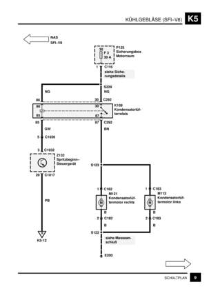 Page 208KÜHLGEBLÄSE (SFI–V8)K5
9SCHALTPLAN
30
F 3
30 A
B
K5-12
MM
P125
Sicherungsbox
Motorraum
1C116
8630 C292
86
8530
87
85 87 C292
BN
siehe Siche-
rungsdetails
K109
Kondensatorlüf-
terrelais
GW
5 C1026
S123
PB1 C1821 C183
2 C182 2 C183
B B
siehe Massean-
schluß S122
E200 BM121
Kondensatorlüf-
termotor rechtsM113
Kondensatorlüf-
termotor links
B
NAS
S229
NG
NG
Z132
Spritzbeginn–
Steuergerät 3 C1032
29 C1017
SFI–V8 