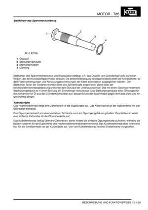 Page 199MOTOR - Td5
BESCHREIBUNG UND FUNKTIONSWEISE 12-1-29
Stellkörper des Spannmechanismus
1Ölzulauf  
2Stellkörpergehäuse  
3Stellkörperkolben  
4Dichtring  
Stellkörper des Spannmechanismus wird hydraulisch betätigt, d.h. das Drucköl vom Zylinderkopf wirkt auf einen 
Kolben, der den Kunststoffspannhebel belastet. Die seitliche Bewegung des Spannhebels strafft die Antriebskette, so 
daß Flatterschwingungen und Abnutzungserscheinungen der Kette automatisch ausgeglichen werden. Der 
Stellkörper ist an der...