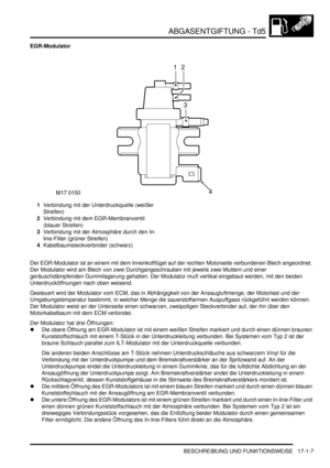 Page 357ABGASENTGIFTUNG - Td5
BESCHREIBUNG UND FUNKTIONSWEISE 17-1-7
EGR-Modulator
1Verbindung mit der Unterdruckquelle (weißer 
Streifen)  
2Verbindung mit dem EGR-Membranventil 
(blauer Streifen)  
3Verbindung mit der Atmosphäre durch den In-
line-Filter (grüner Streifen)  
4Kabelbaumsteckverbinder (schwarz)  
Der EGR-Modulator ist an einem mit dem Innenkotflügel auf der rechten Motorseite verbundenen Blech angeordnet. 
Der Modulator wird am Blech von zwei Durchgangsschrauben mit jeweils zwei Muttern und einer...