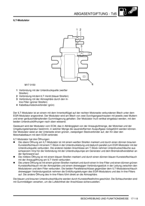 Page 359ABGASENTGIFTUNG - Td5
BESCHREIBUNG UND FUNKTIONSWEISE 17-1-9
ILT-Modulator
1Verbindung mit der Unterdruckquelle (weißer 
Streifen)  
2Verbindung mit dem ILT-Ventil (blauer Streifen)  
3Verbindung mit der Atmosphäre durch den In-
line-Filter (grüner Streifen)  
4Kabelbaumsteckverbinder (grün)  
Der ILT-Modulator ist an einem mit dem Innenkotflügel auf der rechten Motorseite verbundenen Blech unter dem 
EGR-Modulator angeordnet. Der Modulator wird am Blech von zwei Durchgangsschrauben mit jeweils zwei...