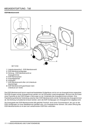 Page 360ABGASENTGIFTUNG - Td5
17-1-10 BESCHREIBUNG UND FUNKTIONSWEISE
EGR-Membranventil
1Unterdruckanschluß - EGR-Membranventil  
2EGR-Membranventilgruppe  
3Dichtung - EGR-Membranventil an 
Ansaugkrümmer  
4EGR-Rohranschluß  
5Auspuffgaseinlaß  
6Ansaugluft  
7EGR-Membranventil offen (mit Unterdruck 
beaufschlagt)  
8EGR-Membranventil geschlossen (kein 
Unterdruck am Ventil)  
Das EGR-Membranventil hat ein maschinell bearbeitetes Gußgehäuse und ist vorn am Ansaugkrümmer angeordnet. 
Die EGR-Gruppe und der...