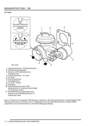 Page 362ABGASENTGIFTUNG - Td5
17-1-12 BESCHREIBUNG UND FUNKTIONSWEISE
ILT-Ventil
1Unterdruckanschluß - EGR-Membranventil  
2EGR-Membranventilgruppe  
3Dichtung - EGR-Membranventil an 
Ansaugkrümmer  
4Unterdruckanschluß - ILT-Ventil  
5ILT-Ventil  
6EGR-Rohranschluß  
7Auspuffgaseinlaß  
8ILT-Ventil - Drossel  
9Ansaugluft  
10EGR-Membranventil offen (EGR-
Membranventil mit Unterdruck beaufschlagt; 
ILT-Drossel ganz offen)  
11EGR-Membranventil geschlossen (kein 
Unterdruck am EGR-Membranventil; ILT-
Drossel...